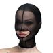 Маска сетка с открытым ртом Feral Feelings - Hood Mask Black SO9290 фото 1