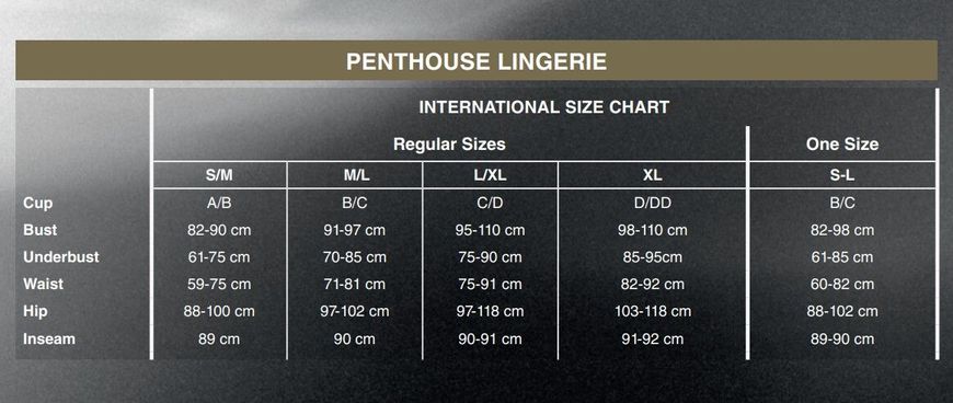 Бодістокінг у велику сітку Penthouse - Body Search Black S/L (м'ята упаковка!!!) SO4408-R фото